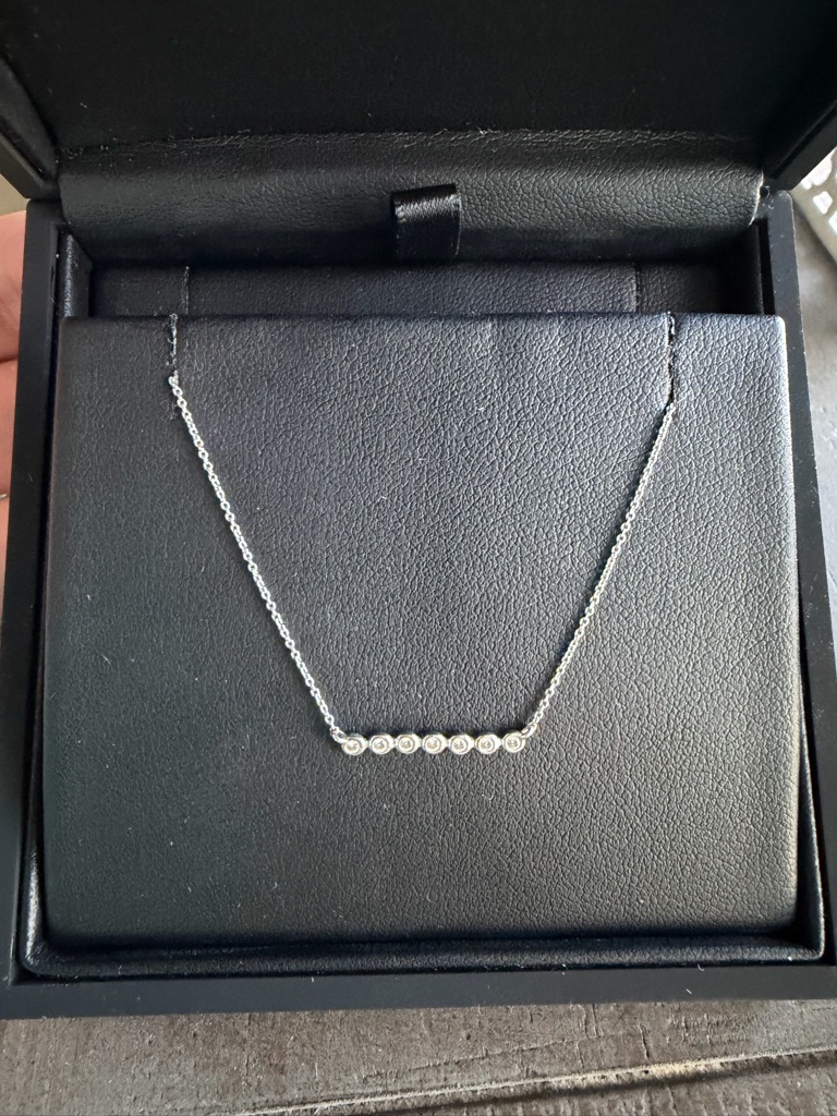 Dana Rebecca Designs Lulu Jack Silver Bezel Bar Necklace 525$